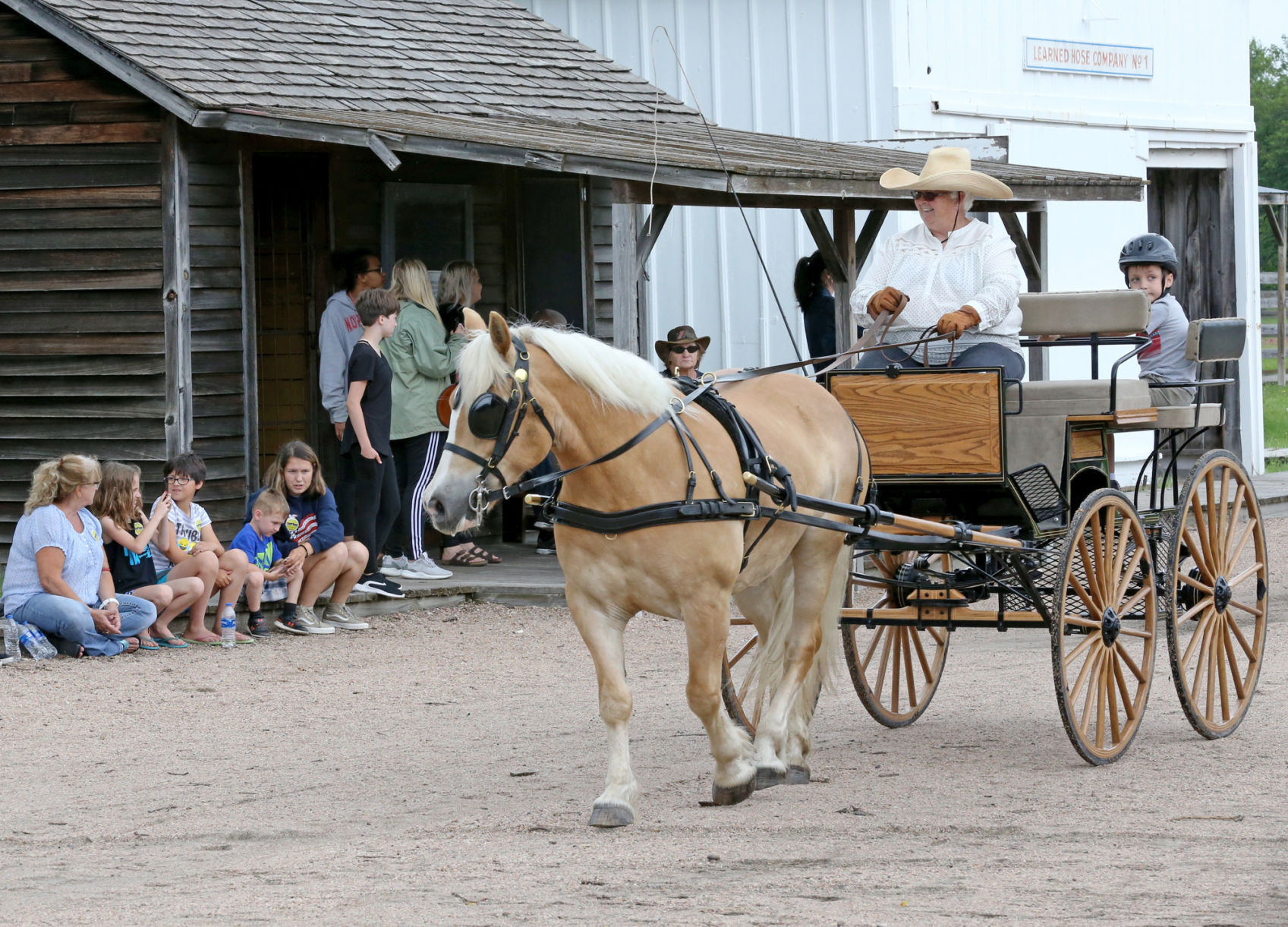 062219HorseandCarriage003_ak.JPG